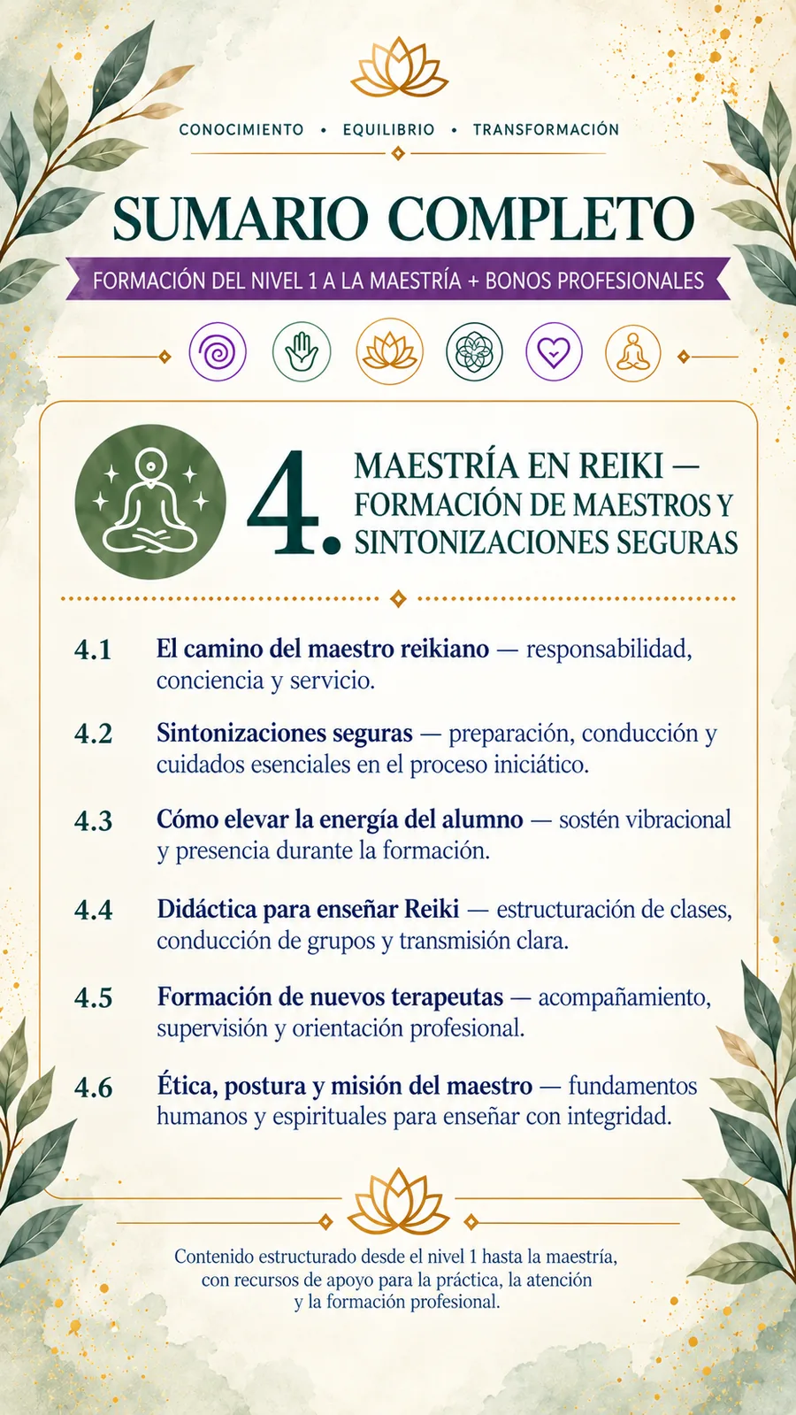Sumario — Maestría en Reiki: formación de maestros y sintonizaciones seguras