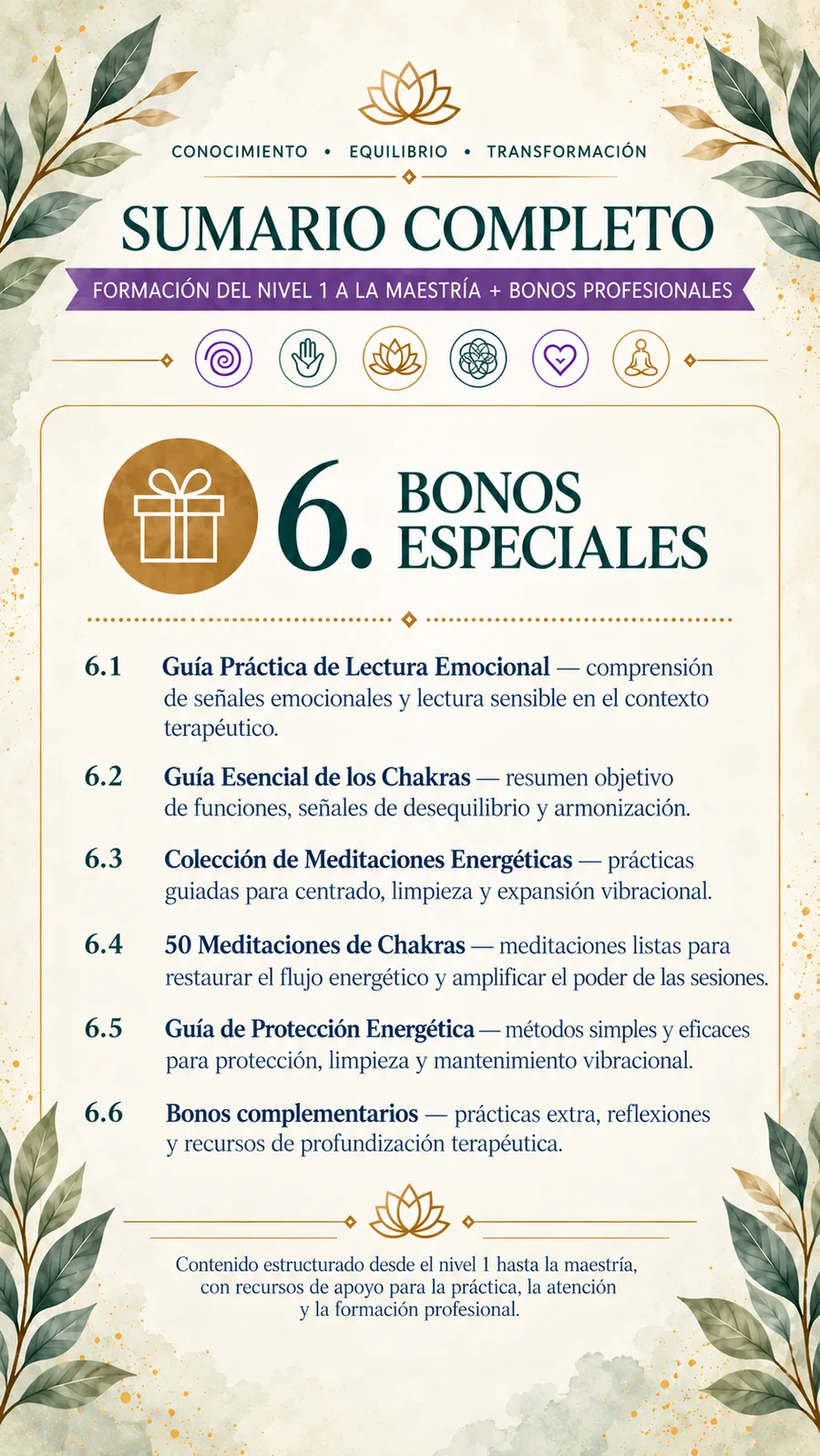 Sumario — Bonos especiales